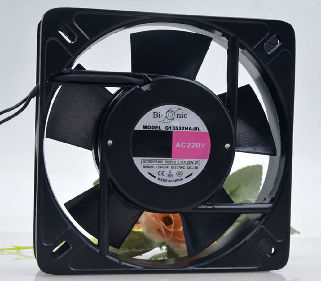 辻和美さん てんてん 大皿 23cm テンテンプレート 2025年最新】辻和美